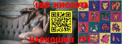 гашик Боровичи