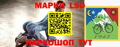 гашик Боровичи