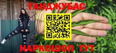 гашик Боровичи