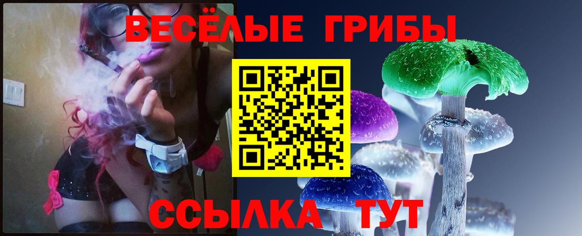 Галлюциногенные грибы прущие грибы Алатырь